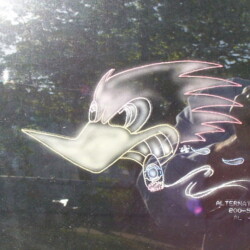 A person is taking a picture of a decal on a car window.