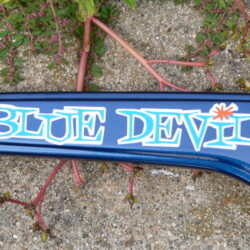 A blue devil sticker on a pair of sunglasses.