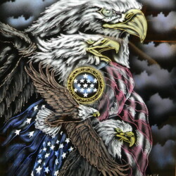 Two eagles on a black background with an american flag.