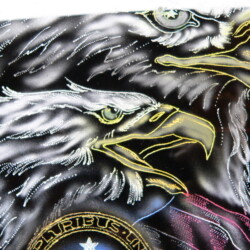 A close up of an eagle.