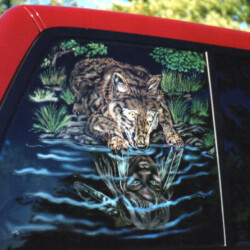 An image of a wolf in the water on a car window.