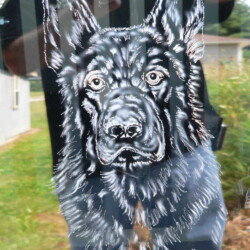 A black german shepherd is drawn on the side of a car.
