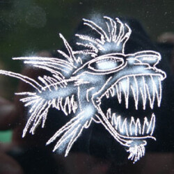 A picture of a fish on a car window.