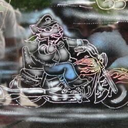 A cat on a motorcycle.