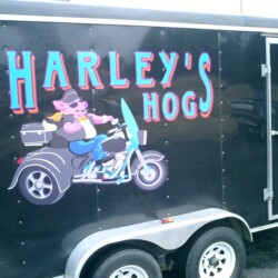 Harley's hogs on a motorcycle.