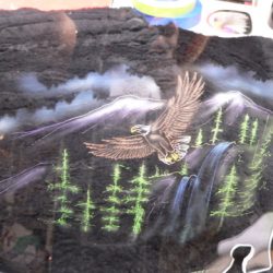 An image of an eagle with a mountain in the background.