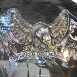 An image of an eagle and an american flag.