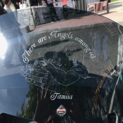 There are kings and there are kings there are kings there are kings there are kings there are king.